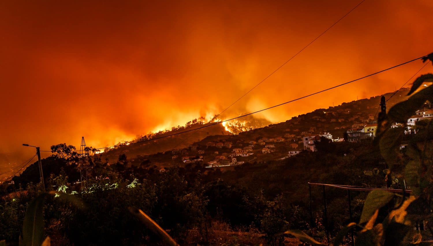 Une cartographie en temps réel des sites sinistrés pour une meilleure efficacité d’intervention