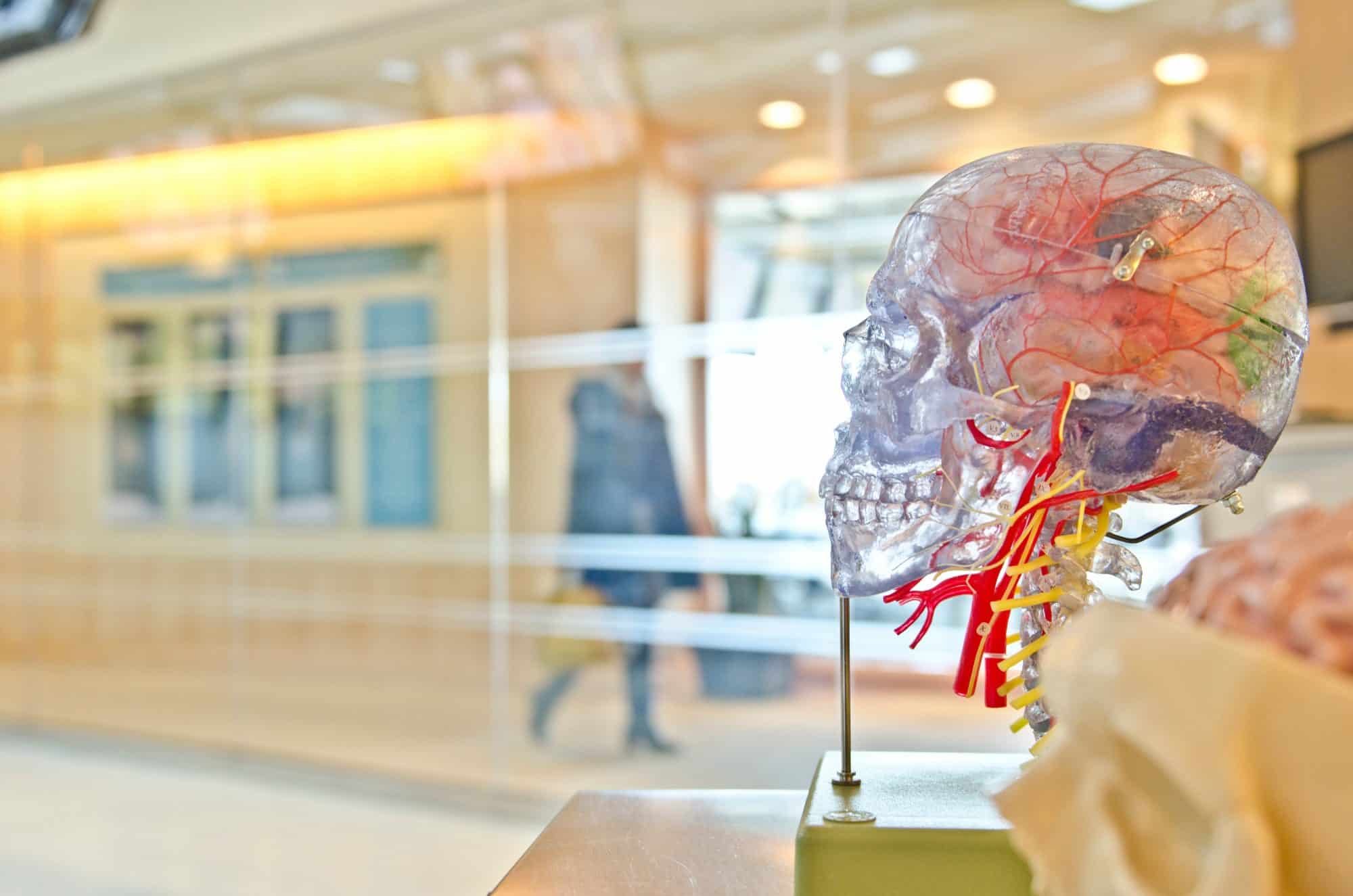 5,7 millions d’euros pour la recherche contre les tumeurs du cerveau chez les enfants à Heidelberg