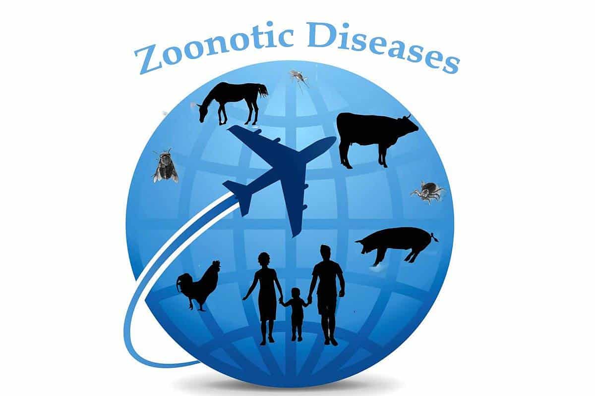 Lancement d’un réseau national de recherche sur les infections zoonotiques