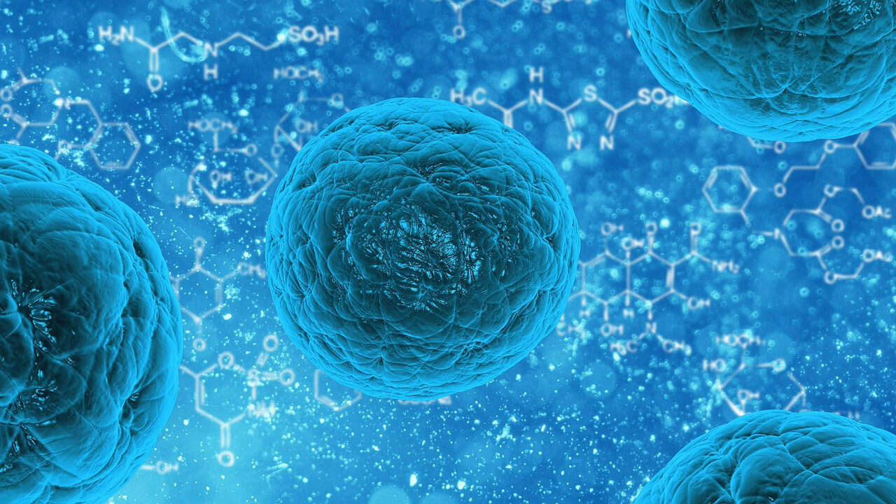 Appel à projets franco-allemand dans le domaine de la résistance antimicrobienne