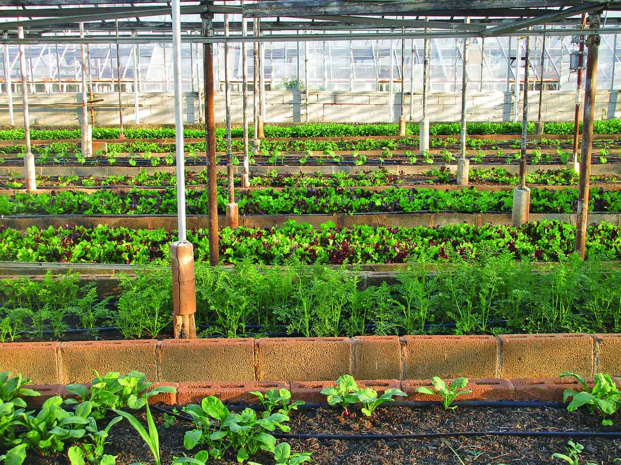 CUBES (Closed Urban Modular Energy- and Resource-efficient Agricultural Systems) : des Systèmes agricoles urbains, modulaires et fermés, économes en énergie et en ressources