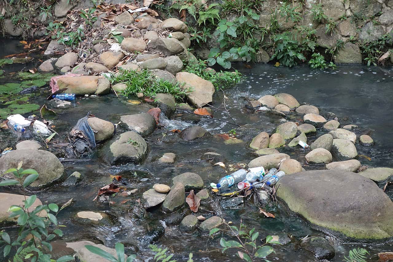 Comment des chercheurs berlinois utilisent les technologies numériques pour détecter et analyser les microplastiques dans l´eau