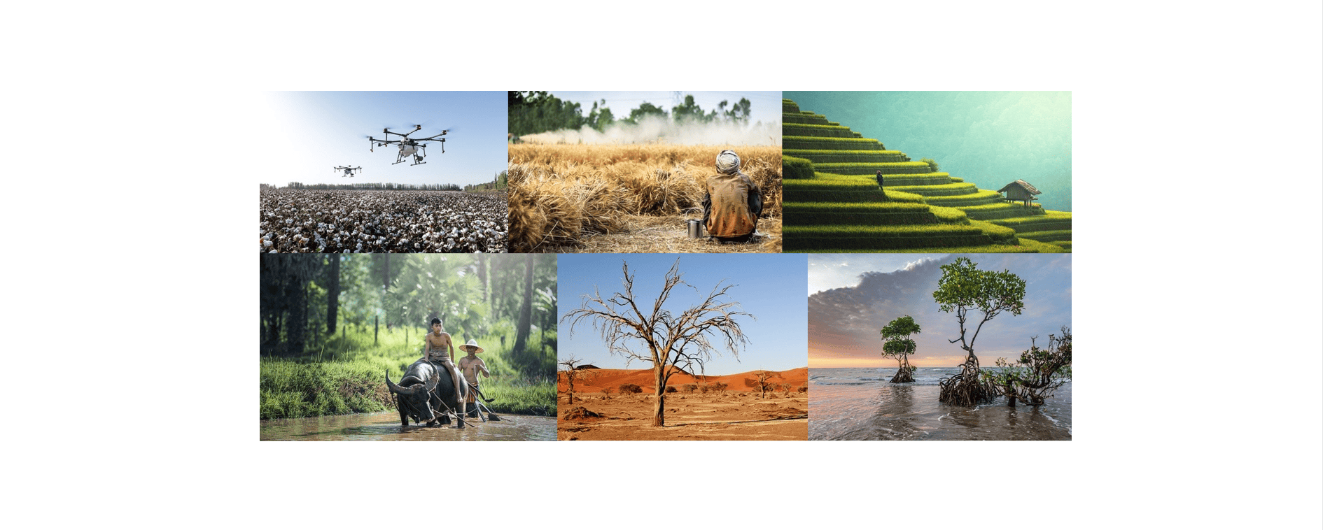 Revoir la conférence CLIMATALK 2021 : L’usage des sols face au changement climatique