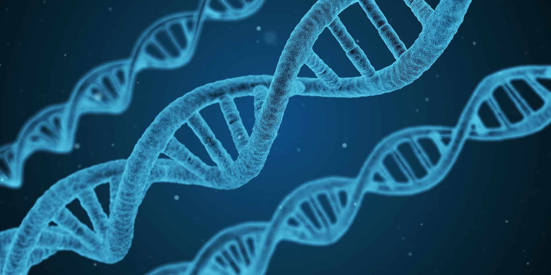 De nouveaux financements du ministère fédéral de l’Éducation et de la Recherche (BMBF) pour la recherche contre le cancer