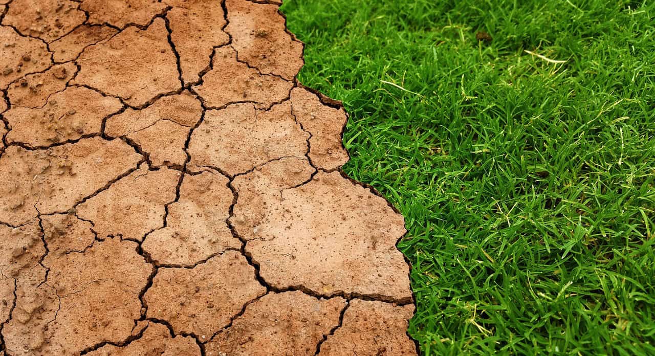 L´initiative internationale « Save Soil » soutenue en Allemagne par le Ministère de la Recherche et de l´Enseignement