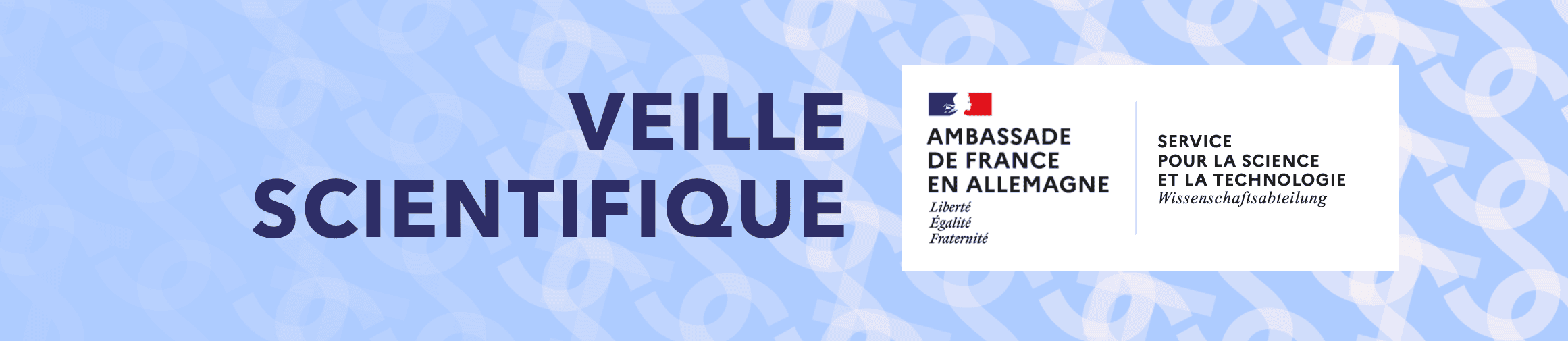 Bulletin de veille bimensuel sur la recherche allemande-Décembre 2022