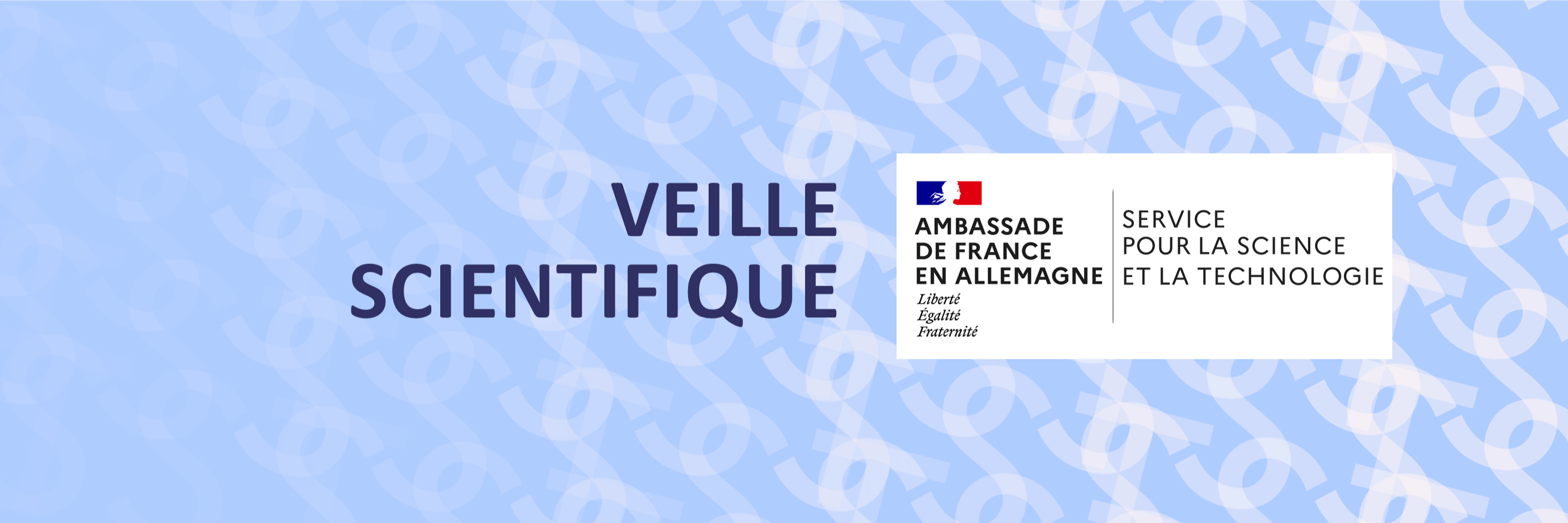 Bulletin de veille sur la recherche allemande – Décembre 2023